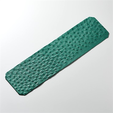 ROIS ROIA オーストリッチスマホカバー (ガーデン・グリーン) Type-C